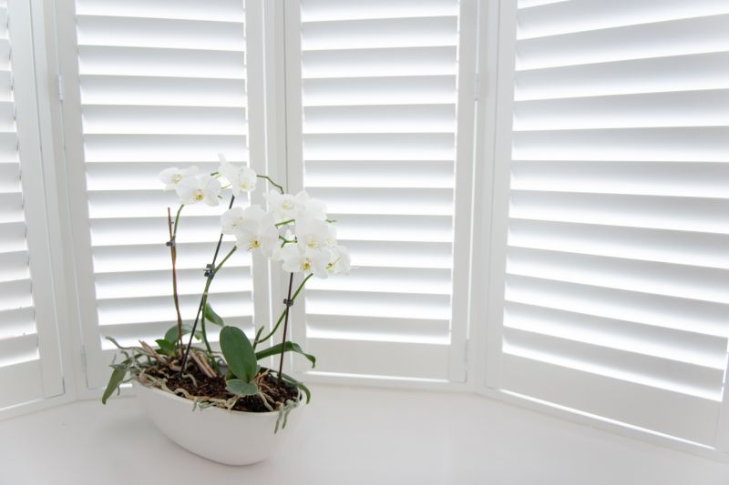 Shutters Installation in Midlothian, VA