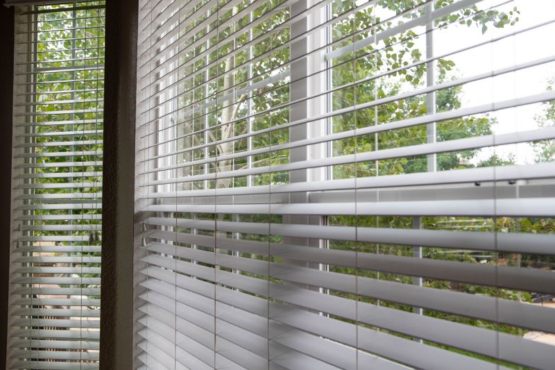 Venetian Blinds Cleaning in Madison, WI